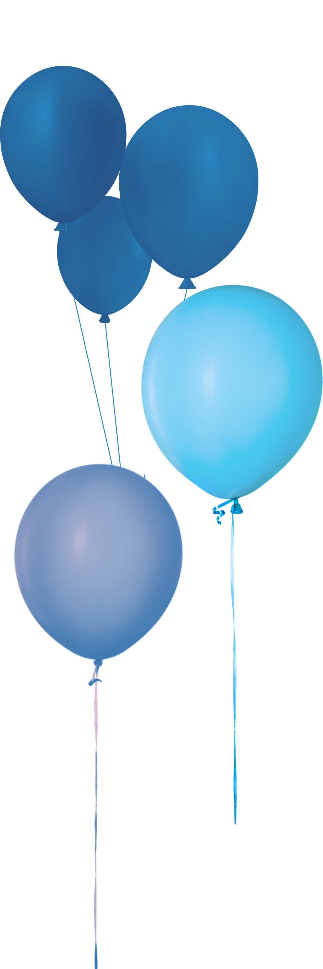 Festa 2